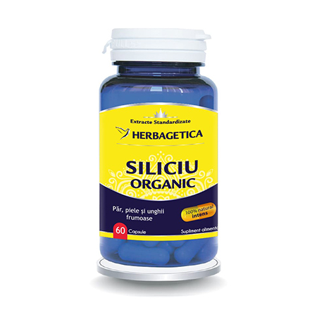 Siliciu Organic 60 cps 