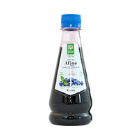 Sirop de Afine 250ml, Santo Raphael