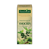 Extract din muguri de smochin 50ml, Plantextrakt