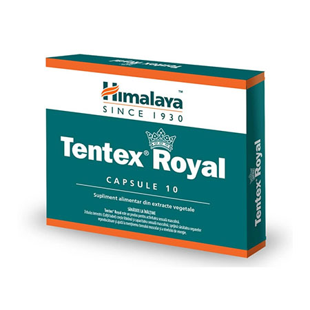 Tentex Royal 10 cps, Himalaya