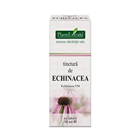 Tinctura de echinacea 50ml, Pantextrakt