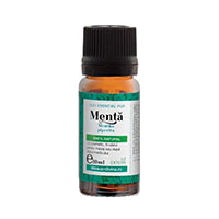 Ulei Esential De Menta 10ml, Santo Raphael