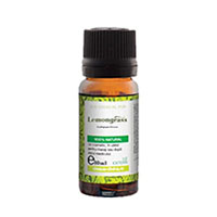 Ulei Esential De Lemongrass 10ml, Santo Raphael