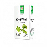 Tinctura De Cretisoara 50ml, Santo Raphael